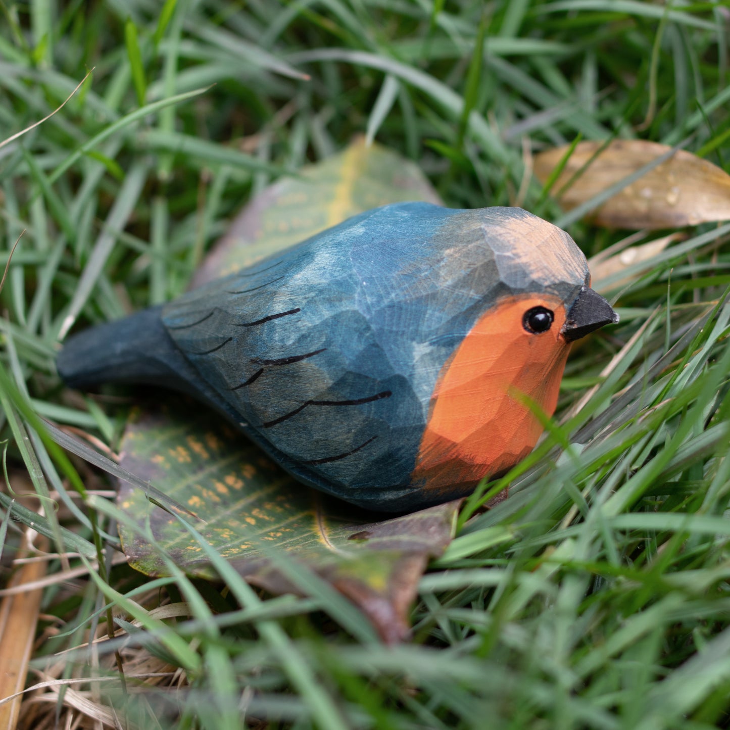 European Robin