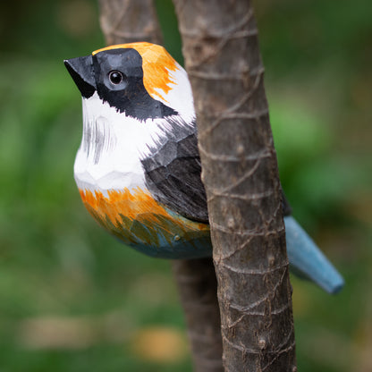 Black-throated Bushtit