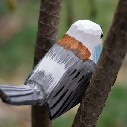 Long-tailed tit