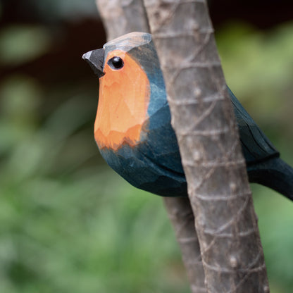 European Robin