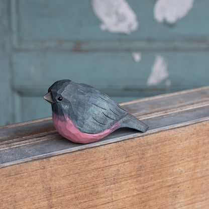 Pink Robin