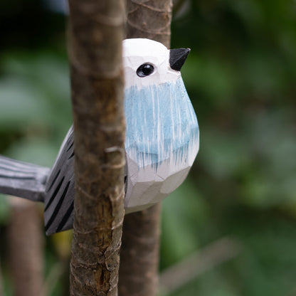 Long-tailed tit