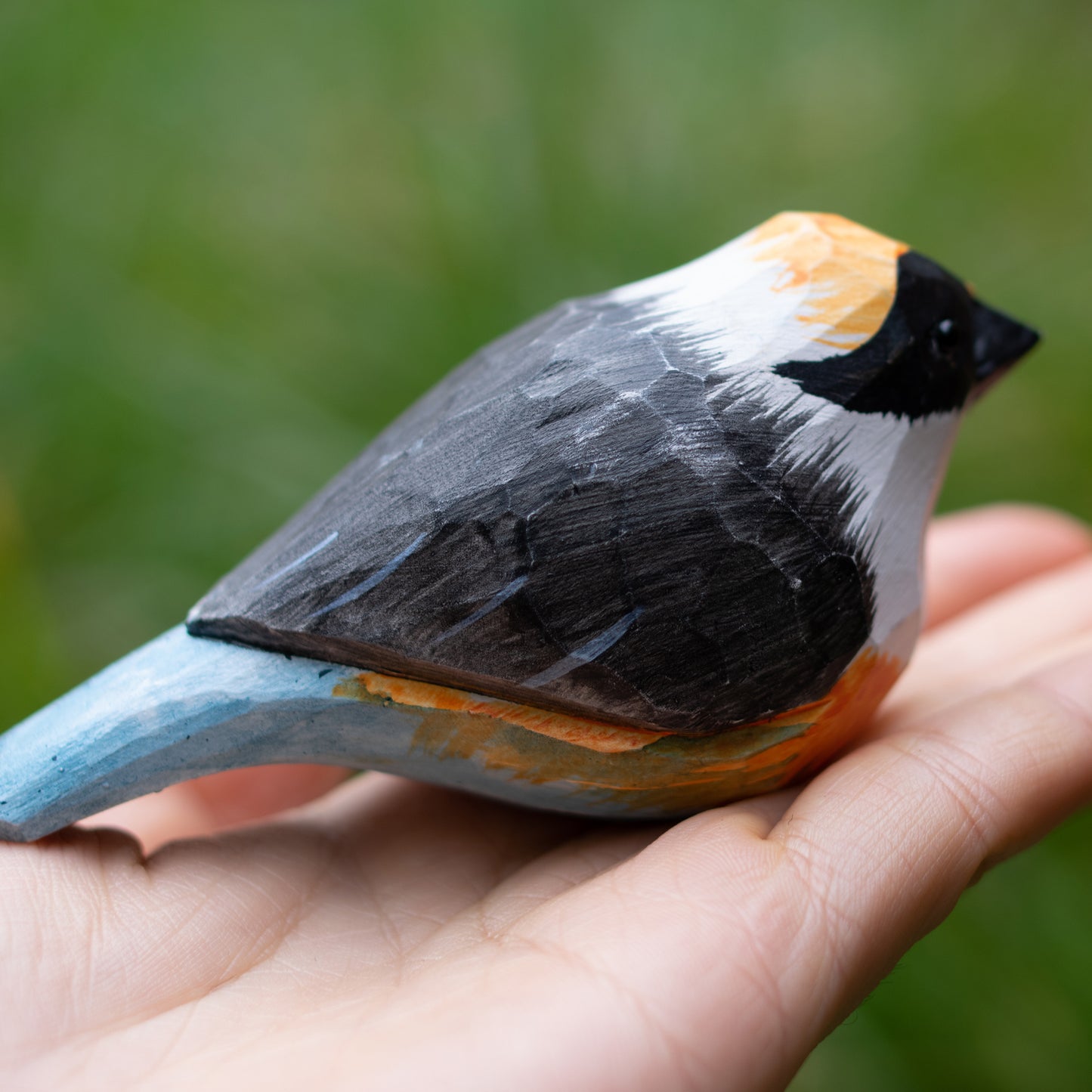 Black-throated Bushtit