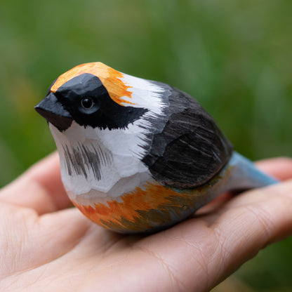 Black-throated Bushtit