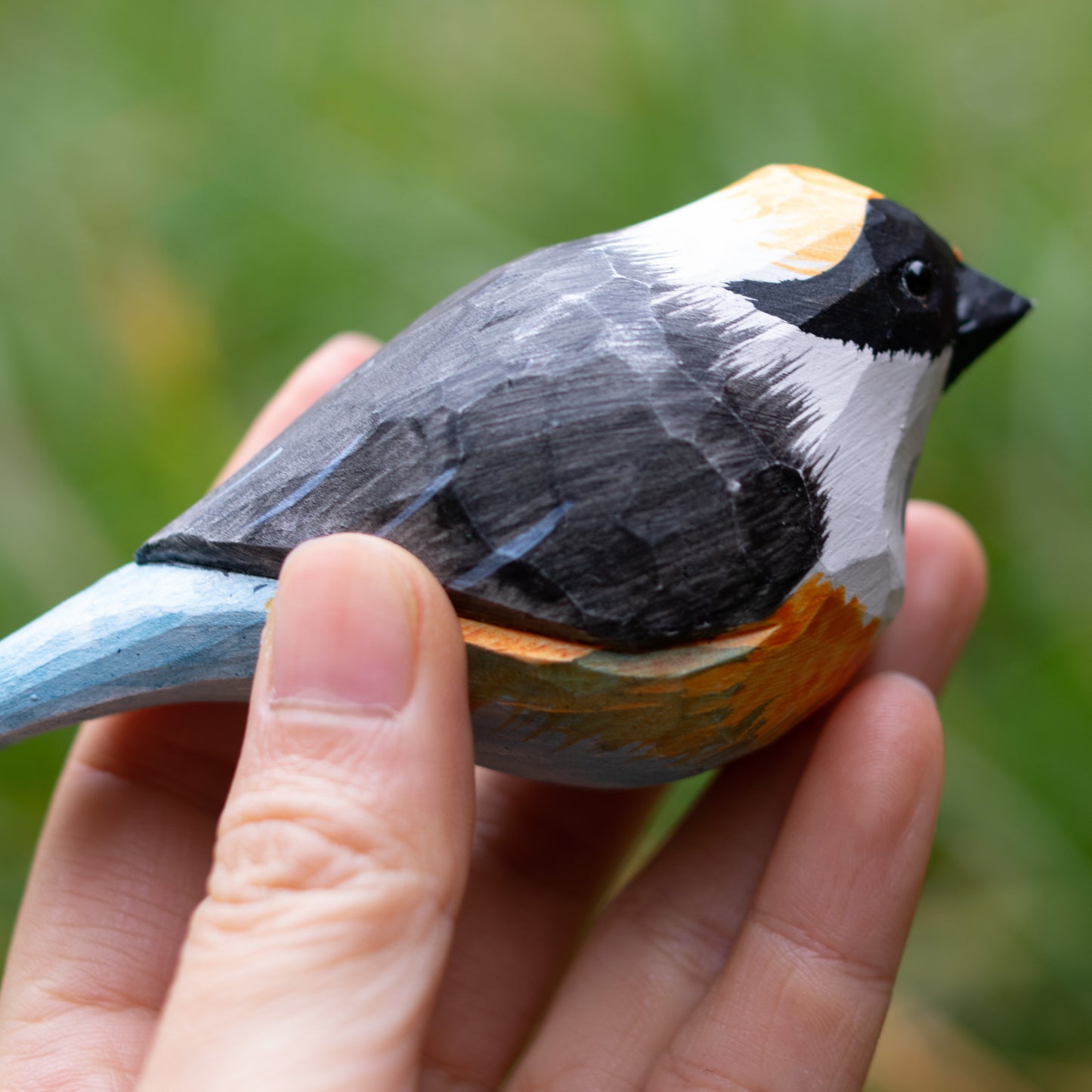 Black-throated Bushtit