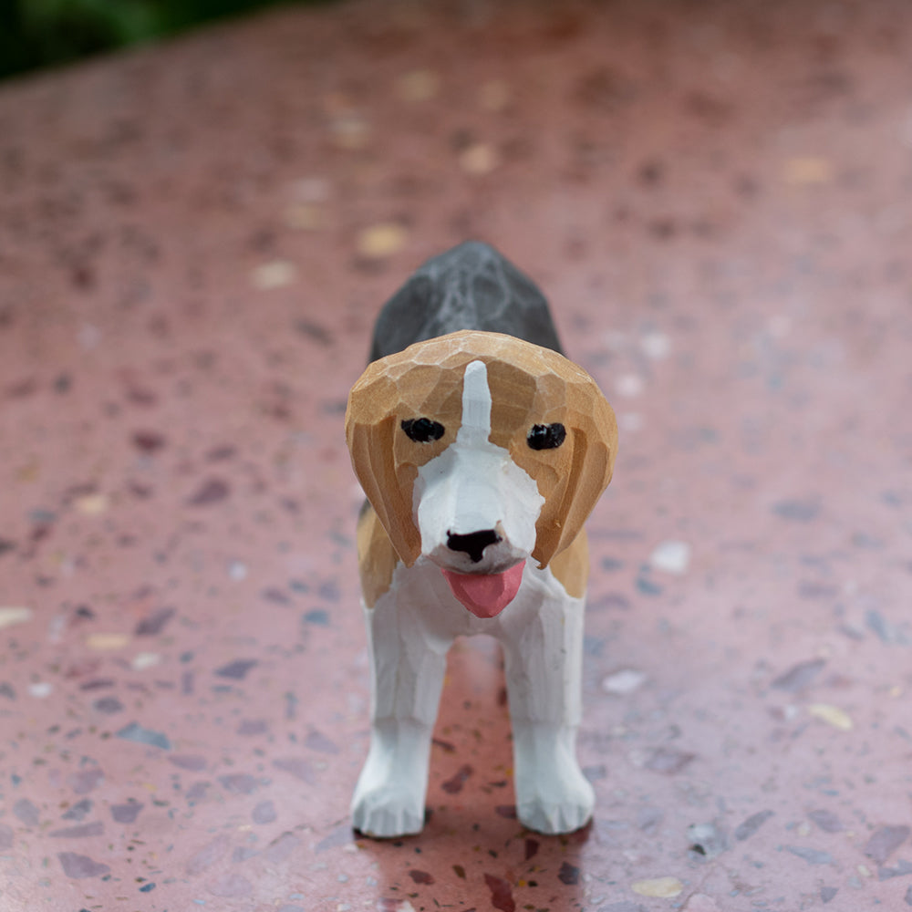 Beagle