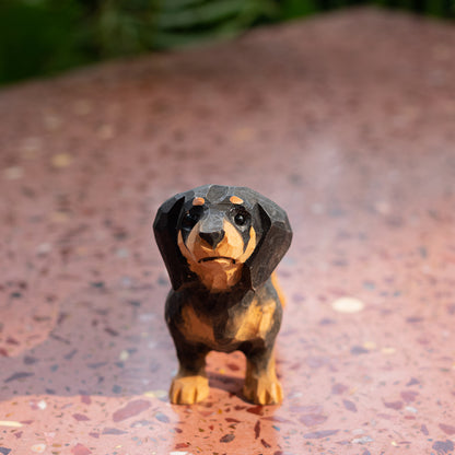 Black Dachshund