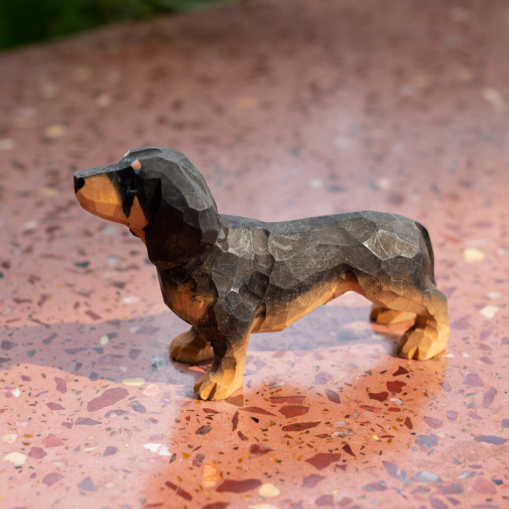 Black Dachshund