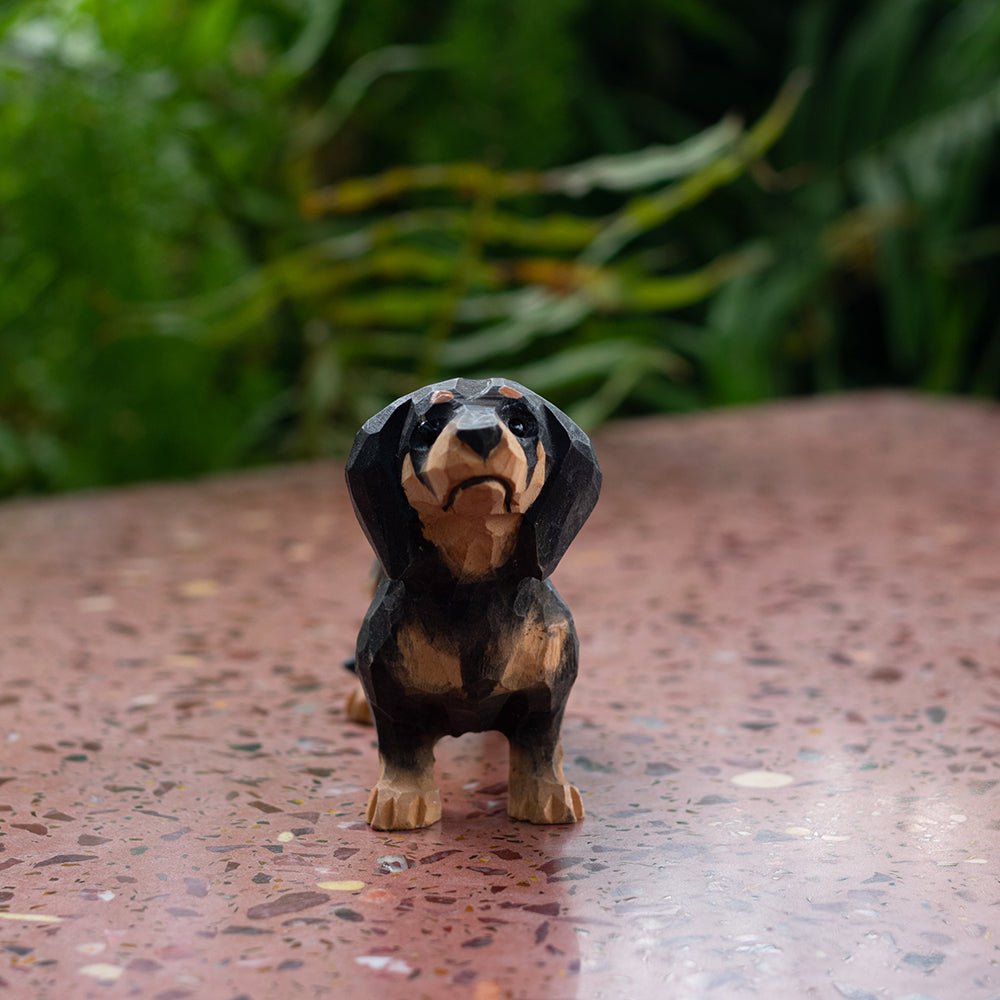 Black Dachshund