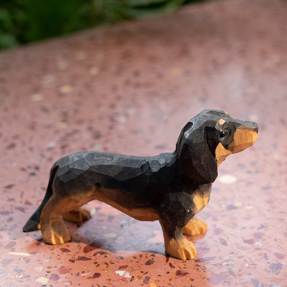 Black Dachshund