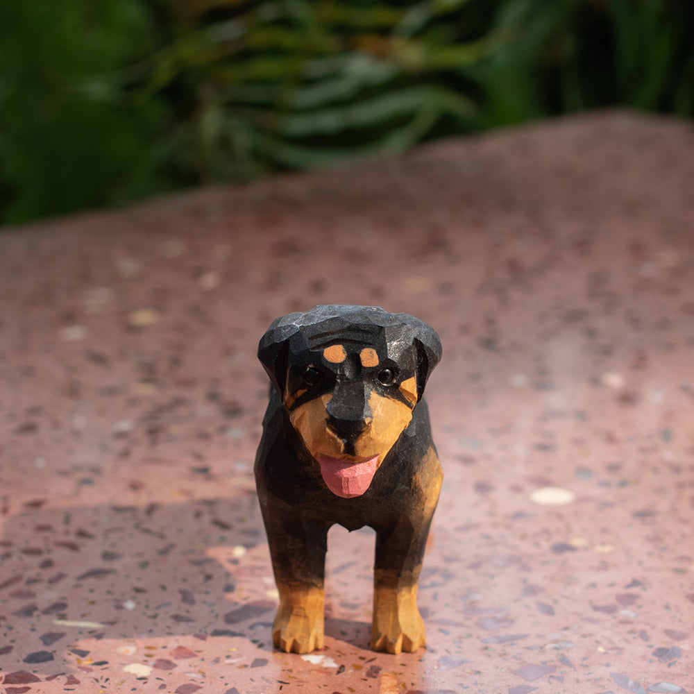 Rottweiler