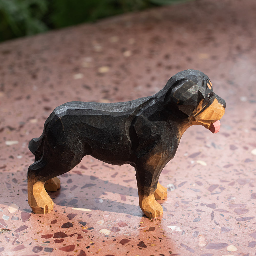 Rottweiler