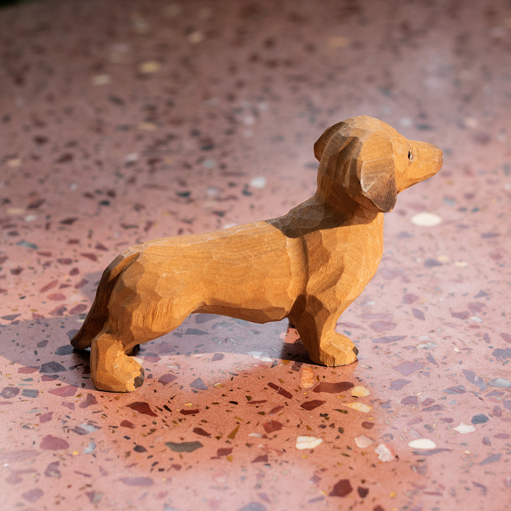 Tan Dachshund