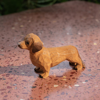 Tan Dachshund