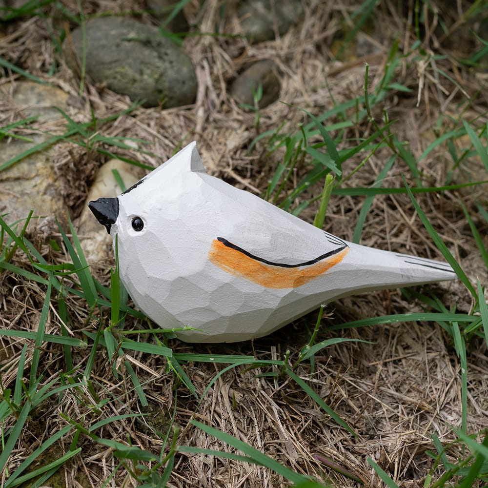 Wooden tufted titmouse sitting on grass