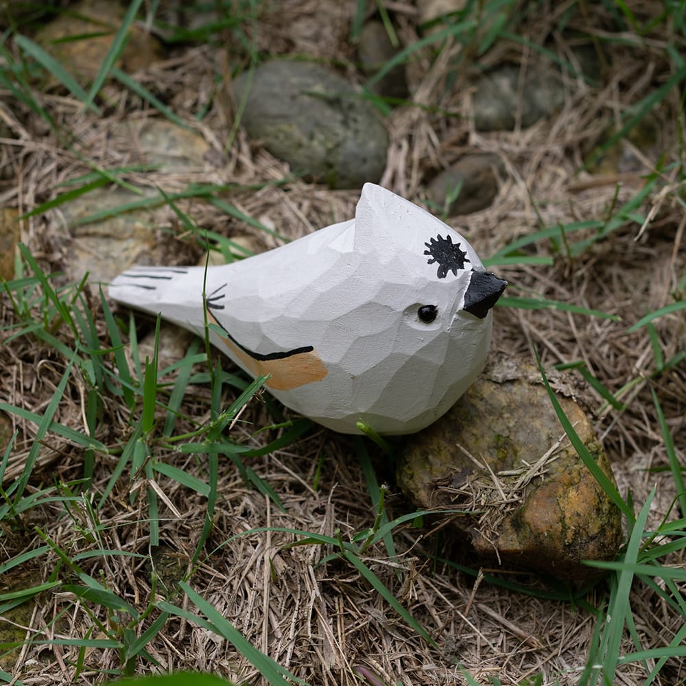 Wooden tufted titmouse sitting on grass