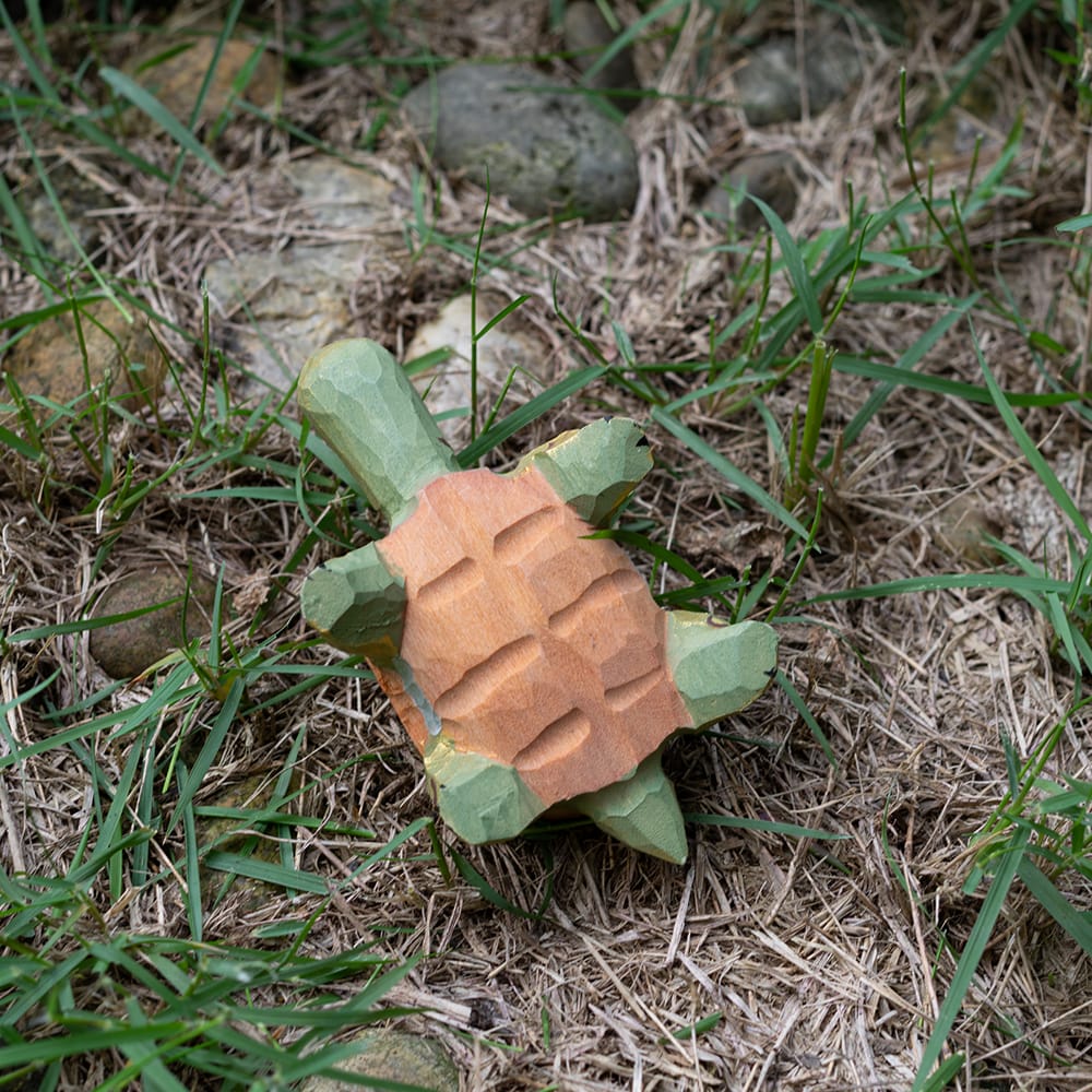 Wooden turtle figurine on grass