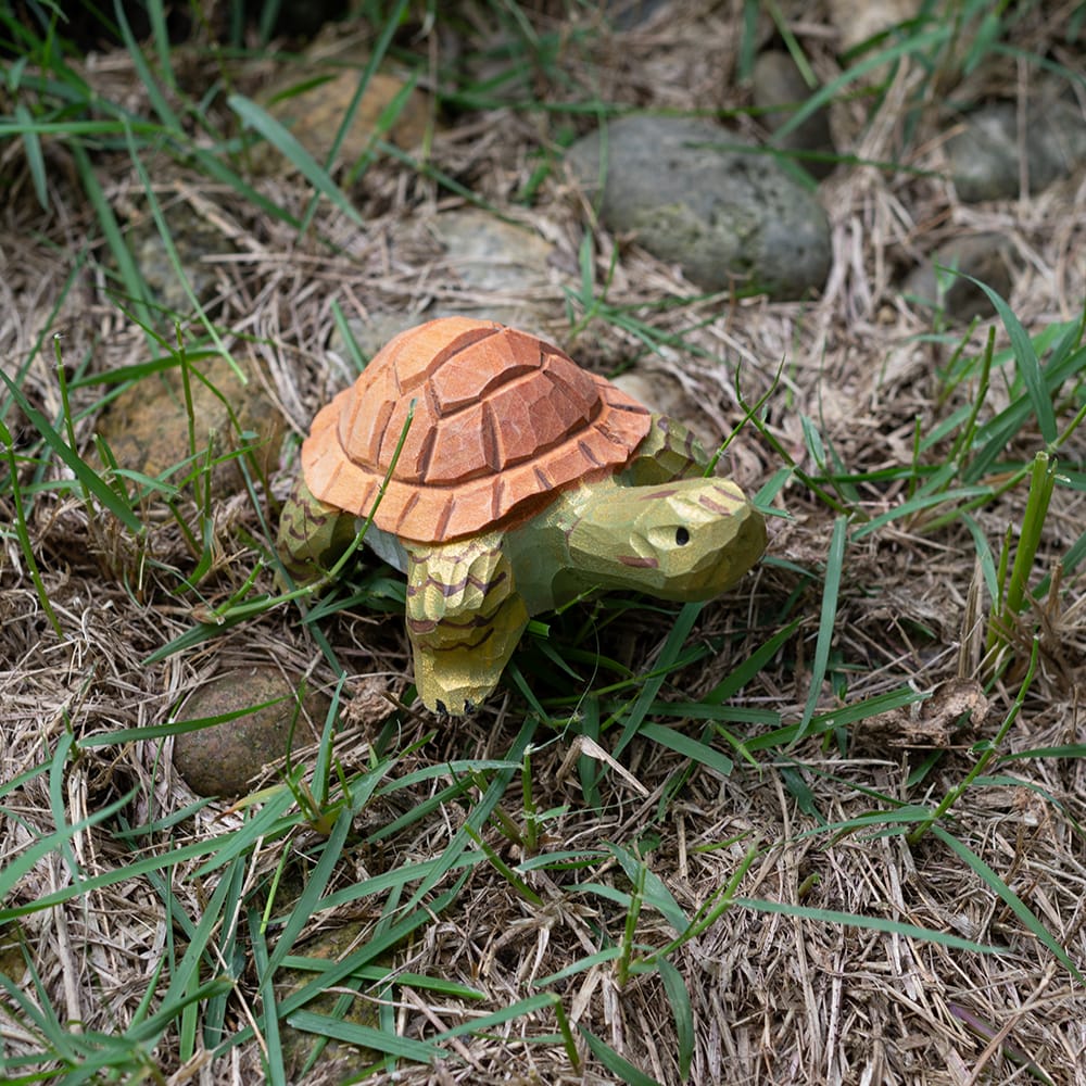 Wooden turtle figurine on grass