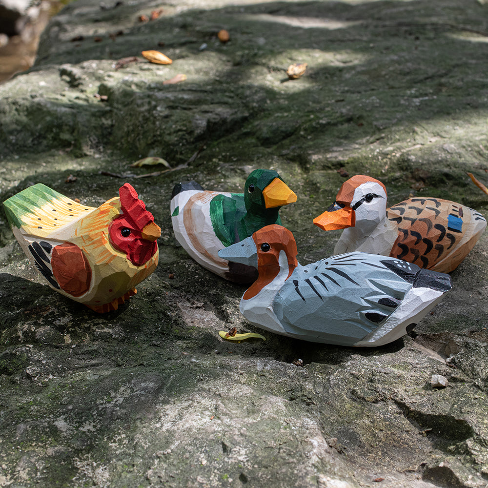 A set of hand-carved wooden bird figurines, including a barnyard hen, mallard duck, spotbilled duck, and redhead duck. 